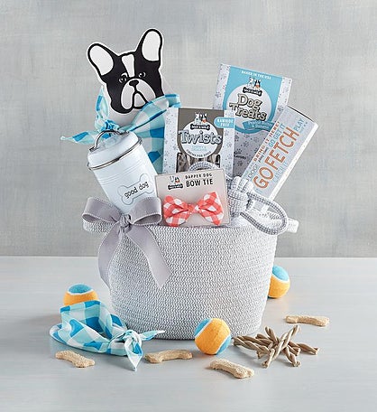 Max & Milo™ Dapper Dog Rope Basket