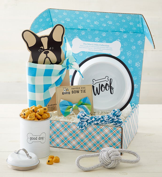 Send dog gift outlet basket