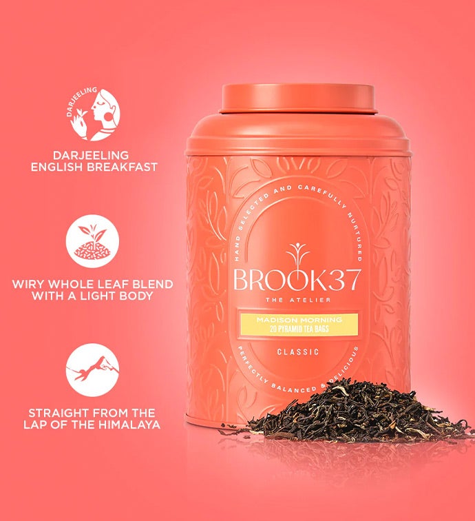 Brook37 Focus Fusion Tin Duo Set