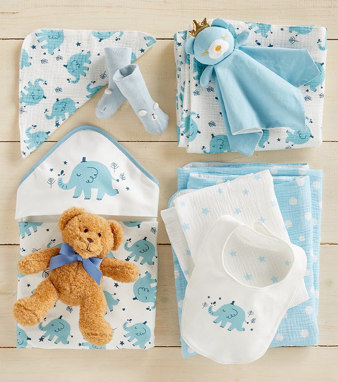 New Baby Boy Deluxe Essentials